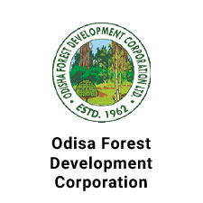 Odisa-Forest
